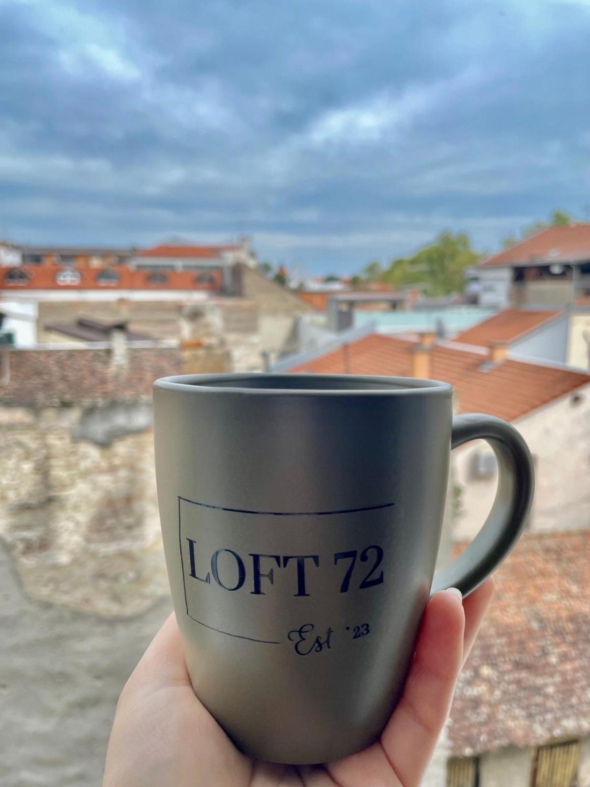 Apartman Loft 72 Slavonski Brod Exterior foto